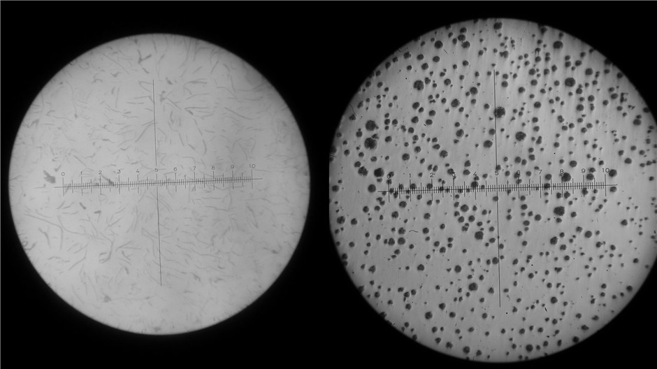 天津北瀛新资料 天津北瀛新资料